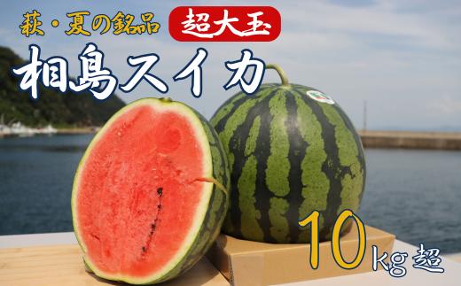スイカ 10kg以上 萩・夏の銘品 相島 西瓜 秀品 大玉すいか フルーツ 果物 果物類 贈答品 ギフト