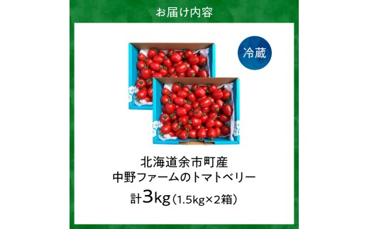 【先行予約7月上旬発送】余市町 中野ファーム トマトベリー 3kg ハート型フルーツミニトマト 甘くて完熟 お弁当に最適 先行予約 甘いトマト 完熟 サラダ お弁当 おやつ 彩り かわいい_Y026-