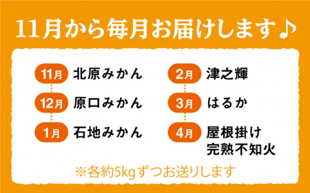 【11月から毎月届く♪6回定期便】【数量限定】旬のみかん定期便＜中尾果樹園＞ [CEL005]