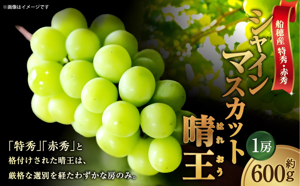 
                  [HS]ぶどう 最高級品シャイン マスカット 晴王 1房 約600g【2026年9月上旬～10月下旬発送】【ブドウ 葡萄  岡山県産 船穂産 フルーツ 果物 ギフト】
                