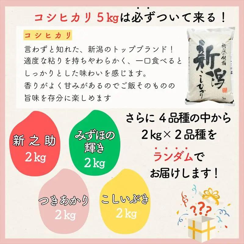 【8月下旬配送】令和7年産 新潟県上越市産米 食べ比べ 9kg 【コシヒカリ 5kgと2kg×2品種】 新之助 こしいぶき つきあかり みずほの輝き ランダム おまかせ 精米 限定 米ヴィレッジさんわ