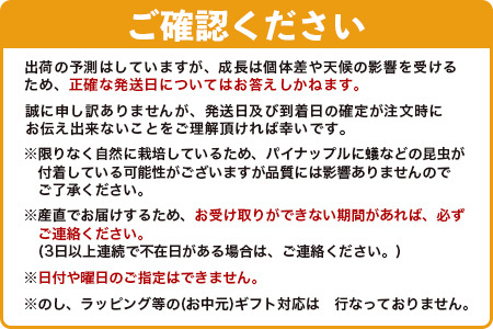 《2024年6月以降順次発送》香りに溺れる！？ 完熟の極 てとの黄金パイン2個セット【 沖縄 石垣 ゴールデン パイン パイナップル 完熟 セット フルーツ デザート 】 TF-25