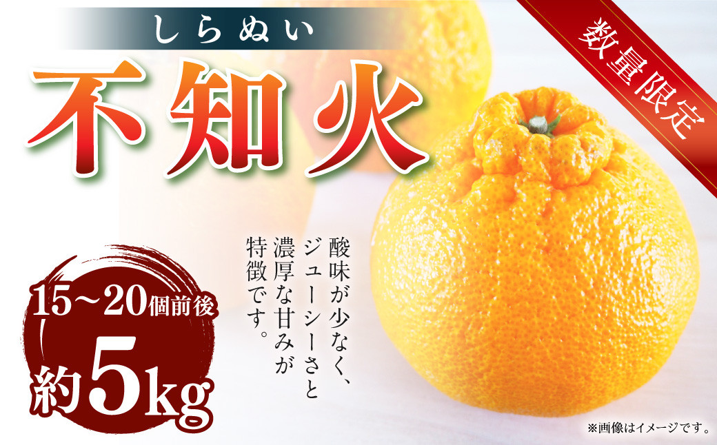 【先行受付】【数量限定】不知火 約5kg 柑橘 でこぽん デコポン 果物 フルーツ 熊本県 上天草市【2027年2月下旬～3月下旬順次発送】