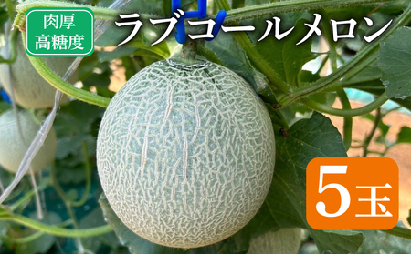 先行予約 ラブコール メロン 5玉 メロン メロン メロン メロン メロン