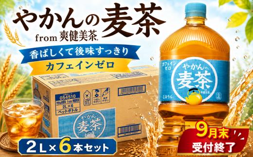 やかんの麦茶 PET 2L × 6本 セット 【9月末掲載終了】 1ケース お茶 麦茶 むぎ茶 2リットル ペットボトル ぺっとぼとる ぺっと お茶 おちゃ 御茶 茶葉 飲料 ドリンク 飲み物 のみもの 飲物 tea 防災グッズ 日用品 日常使い 生活用品 防災 備蓄 食べ物以外 コカコーラ 関東 神奈川 海老名