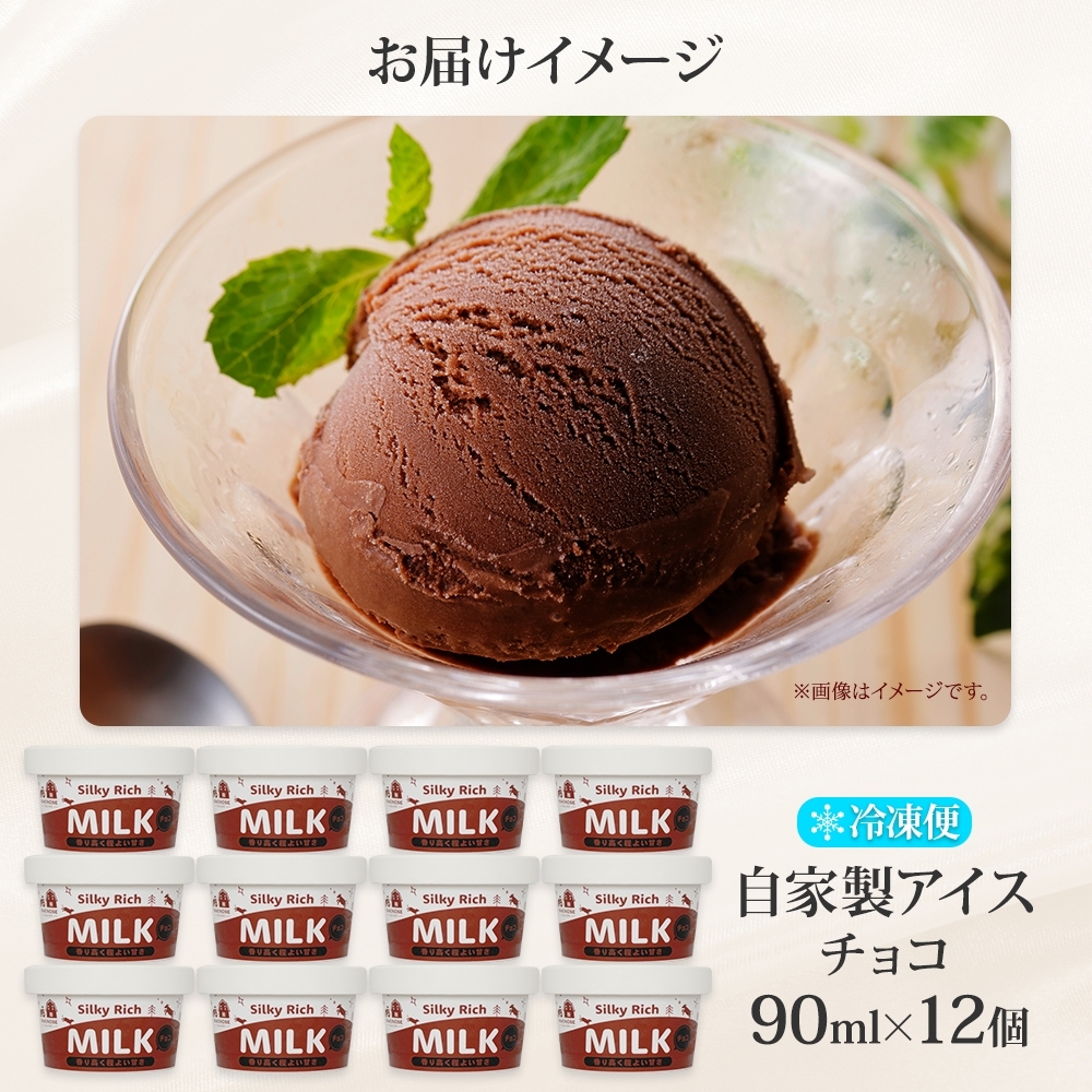 3221. 牧之瀬牧場 自家製アイス チョコ 90ml 12個 アイス 氷菓子 チョコレート フレーバー 牧場 手作り セット おやつ デザート スイーツ 冷凍 ギフト 送料無料 北海道 弟子屈町_イ
