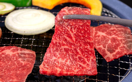 【全6回定期便】【A4/A5等級】博多和牛 モモ 焼肉用 1kg (500g×2p)  ＜ヒサダヤフーズ＞那珂川市  黒毛和牛 牛肉 焼き肉 雌牛[GFY037]