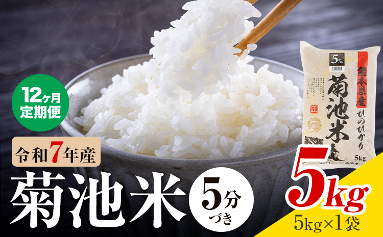 【12ヶ月定期便】令和7年産 熊本県産 菊池米 5分づき 5kg 1袋5kg 株式会社くまもとごはん 《お申込み翌月に出荷予定》米 お米 令和7年産 九州産 熊本県産  送料無料---026-3131