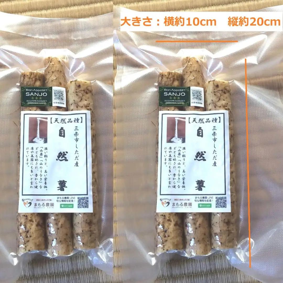 先行予約 自然薯 カットパック 約1.2kg(300g×4パック)   新潟県産自然薯  [まもる農園] 【012P048】