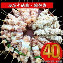 【ふるさと納税】【生・冷凍】四万十鶏のやきとり 計40本 国産鶏 焼き鳥 焼鳥串 5種（せせり もも にんにくま ねぎま かわ 各1本）5本1袋 ×8パック 銘柄鶏 タレ・塩付 BBQ 焼いてない ソロキャン 串もの ヤキトリ 日鶏 hidori