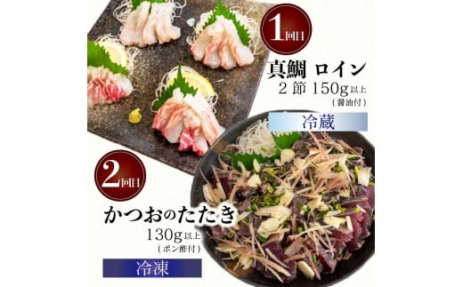 4ヶ月 定期便 刺身 鮮魚 4回 定期便 新鮮 国産 （ ブリ かつお たたき キハダ マグロ 真鯛 ）タイ 鰹 たい セット 冷凍 冷蔵 しゃぶ 鯛 お鍋 海鮮 年末 年始 大晦日 正月 高知県 須