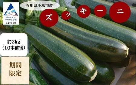 ズッキーニ 約2kg (10本前後)  | 石川県 小松市 JAあぐり