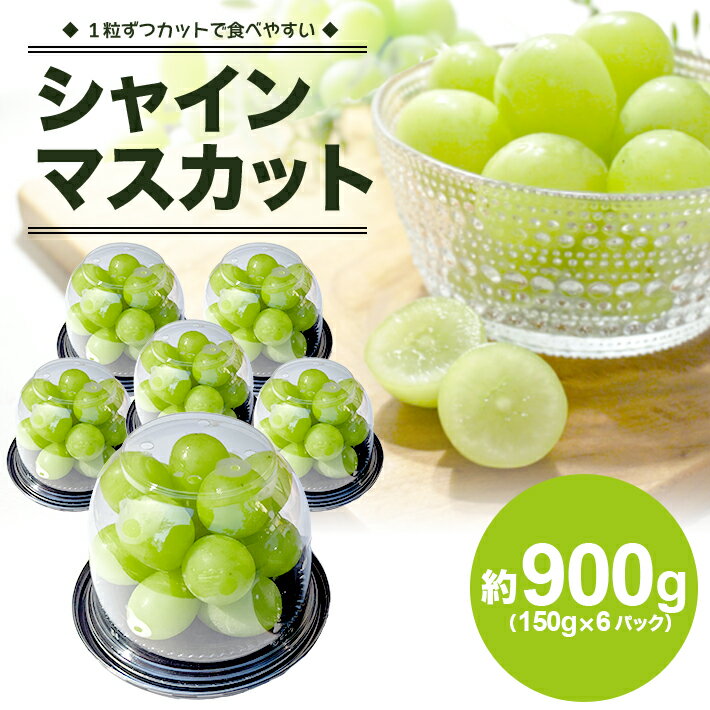 【ふるさと納税】シャインマスカット 約900g 150g×6パック 8月下旬～9月下旬頃お届け 冷蔵便 ※着日指定・離島発送不可 マスカット ぶどう ブドウ 葡萄 果物 フルーツ ハウス 東北 山形県 酒田市 庄内 カット