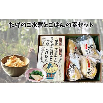 ふるさと納税 小松市 加賀たけのこ水煮 大麦みそ入り たけのこごはんの素(2合炊き用)セット 野菜 具材