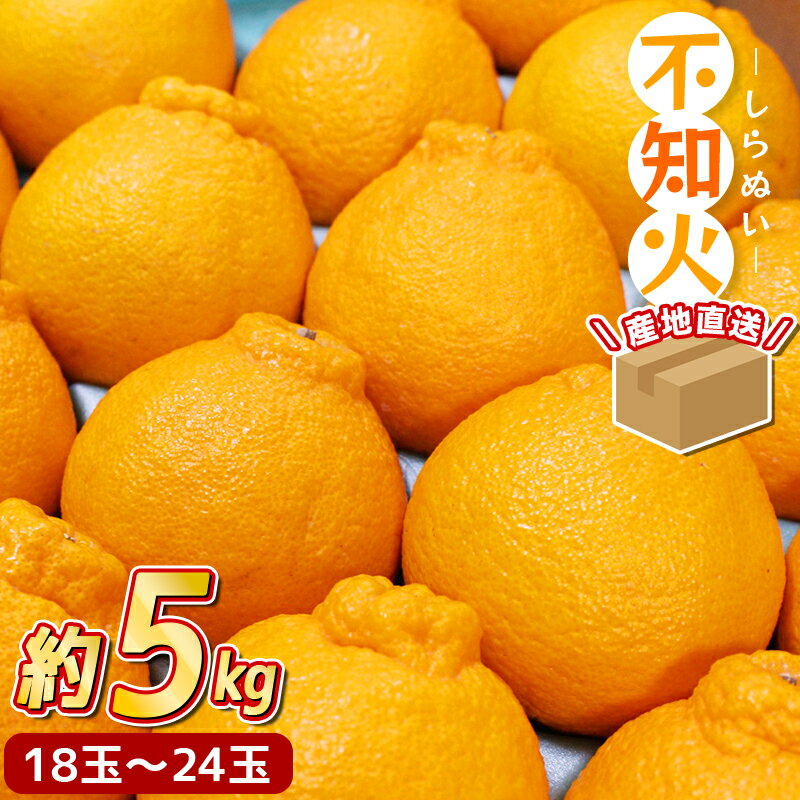 【ふるさと納税】＼ みかんの名産地 和歌山県産／ 農家直送 不知火 約5kg(18～24玉) ひとつひとつ手選別で厳選【2026年2月中旬～3月下旬ごろに順次発送予定】【hdm002A】