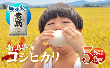 【先行予約】令和8年産 無洗米 コシヒカリ 5kg コシヒカリ コシヒカリ kwsMKH