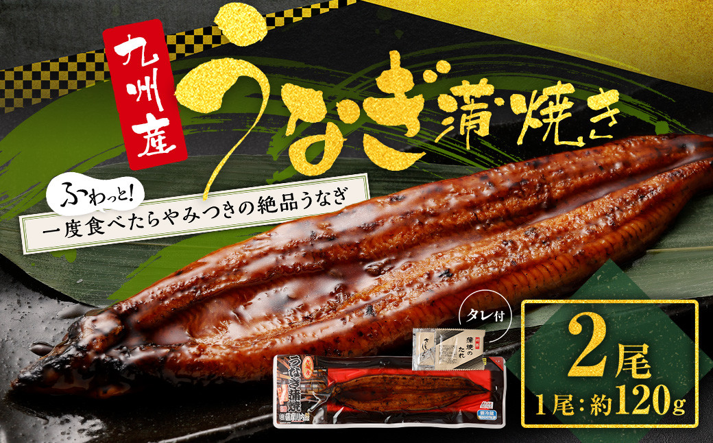 A-298 九州産うなぎ蒲焼き 2尾 合計約240g(約120g×2尾) タレ付