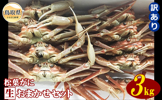 【魚倉】松葉がに　生　おまかせセット　3kg　訳あり【期間限定】_T2600172 鳥取県 おすすめ かに がに ガニ 蟹 松葉ガニ