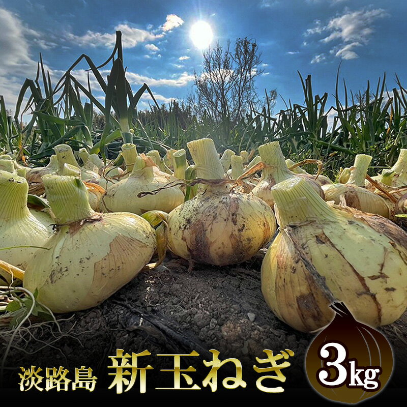 【ふるさと納税】栽培期間中農薬不使用の淡路島新玉ねぎ3kg 新玉ねぎ 玉ねぎ タマネギ 野菜 旬の野菜 季節の野菜 兵庫県 洲本市 淡路島　お届け：2026年3月中旬～5月下旬