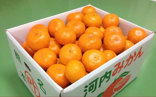 叶果樹園 みかん 家庭用 約4kg（S～Lサイズ混合40～60個） ミカン フルーツ 果物 くだもの サイズ混合 常温 国産 【2025年10月下旬～12月上旬迄順次発送予定】