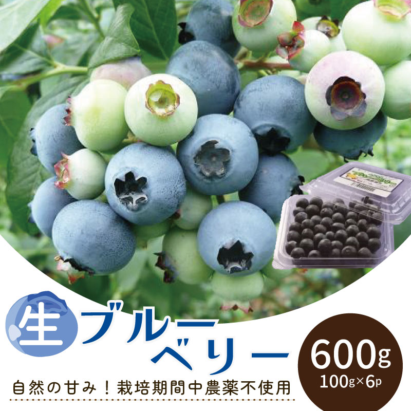 【ふるさと納税】 ブルーベリー 600g (100g×6) 果物 フルーツ ケーキ チーズケーキ タルト アイス シャーベット ゼリー ジュース ジャム 美容 健康 ビタミン 目の疲れ 眼精疲労 予防 アントシアニン ギフト プレゼント 贈答 お取り寄せ グルメ 送料無料 徳島県 吉野川市