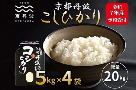 【京丹波の米】《先行予約》 京丹波こしひかり 20kg 令和7年産 【 京丹波産 コシヒカリ   お米  米  白米  京都 】  [033MB001]