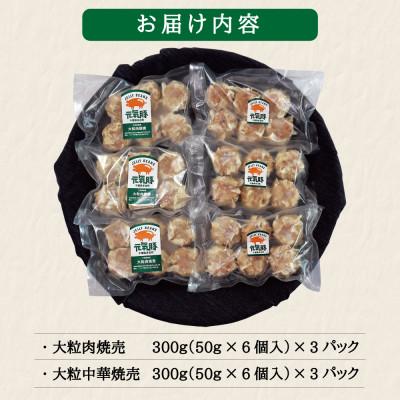 ふるさと納税 多古町 【千葉県産三元豚】元気豚 大粒焼売2種セット(2種 合計36個入)【シュウマイ】 |  | 03