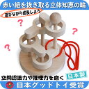 【ふるさと納税】木のおもちゃ/立体知恵の輪（4段）日本グッド・トイ選定玩具 頭の体操 脳トレ ゲーム 木製 型はめ パズル 知育玩具 日本製 リハビリ　【上田市】　お届け：15日以内に発送いたします