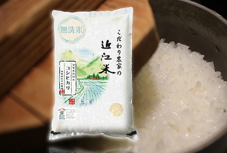  令和7年産 無洗米 白米 コシヒカリ 10kg 【BN01W2】 近江米 環境こだわり米 滋賀県産 単一原料米