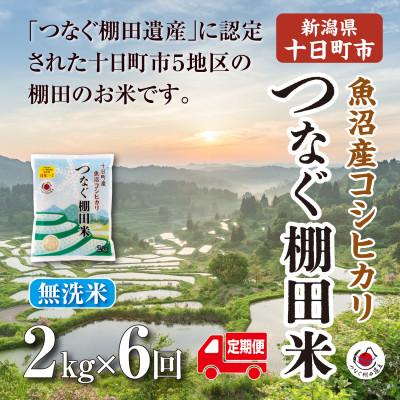 ふるさと納税 十日町市 【毎月定期便】新潟県十日町市魚沼産コシヒカリ「つなぐ棚田米」無洗米2kg全6回