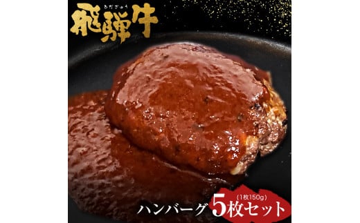 
飛騨牛 ハンバーグ 5枚セット（1枚150g）個数300個限定で ウインナー コロッケ 5個付き1個当たり60g | 肉のかた山 牛肉 M16S29
