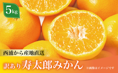 訳あり 寿太郎 みかん 約5kg フルーツ 柑橘 オレンジ 果物 数量限定 国産 蜜柑