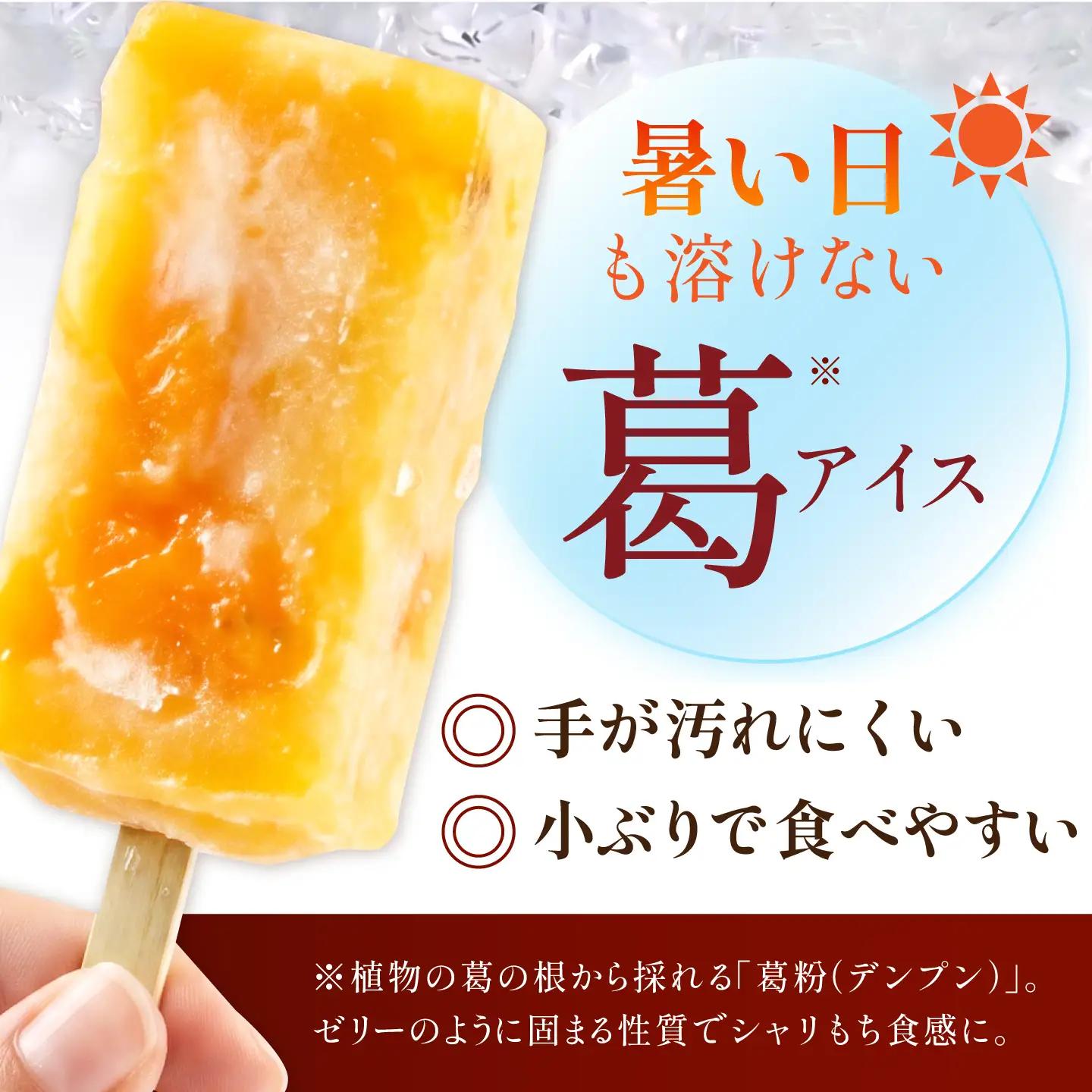 ＼期間限定 葛アイス／ コーラスゼリー くずゼリー 16本 / 多治見市 / 御菓子処 港屋 / 和菓子 くず 葛 ゼリー セット 夏 フルーツ スイーツ アイス[TII003]