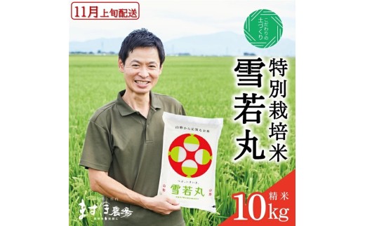 11月上旬配送／令和8年産【精米】つや姫マイスターが作った 特別栽培米『雪若丸』10kg(5kg×2袋)［減農薬・減化学肥料］ MA SC0741