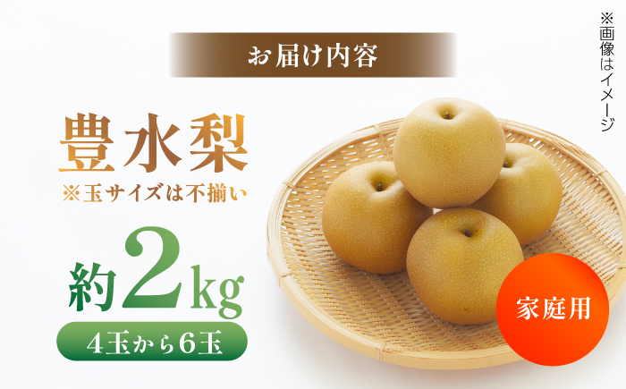 【先行予約】 川渕果樹園 豊水梨 約2kg 家庭用 〈2025年10月～発送〉 / 梨 なし ナシ 豊水 果物 フルーツ デザート 夏 秋 ヘルシー 健康 水分補給 【株式会社Dorago】 [ATA