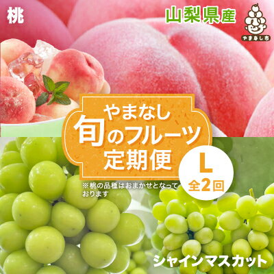 【ふるさと納税】【発送月固定定期便】やまなし旬のフルーツ定期便(桃・シャインマスカット)【L】全2回_ もも ぶどう ブドウ 山梨 フルーツ 果物 くだもの セット 贈答 ギフト プレゼント 送料無料 【配送不可地域：離島・沖縄県】【4012929】