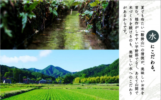 【有機JAS認定】有機栽培米こしひかり 5kg 令和7年産 新米 精米 白米 | 石川県 小松市 【有限会社ジャパンファーム】