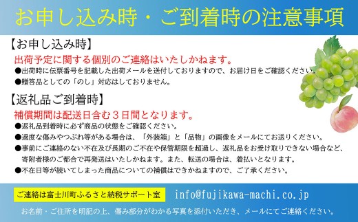【2027年発送分 先行予約】貴陽（L）9玉程度　すもも プラム スモモ 李 くだもの 果物 やまなし 山梨フルーツ 産地直送 富士川町