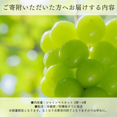 【2026年発送 先行受付】フルーツ王国山梨県産シャインマスカット 3房～4房 2.2kg以上【配送不可地域：離島】