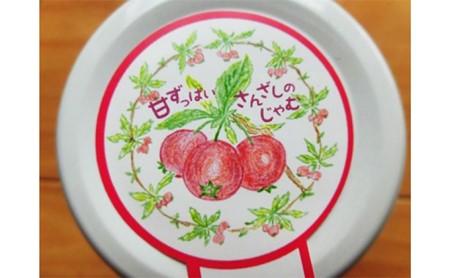 【女性に大好評！】さんざしのじゃむ 2個セット｜ジャム・フルーツ・ジュレ・加工品・瓶詰 セット 長野県 天龍 てんりゅう
