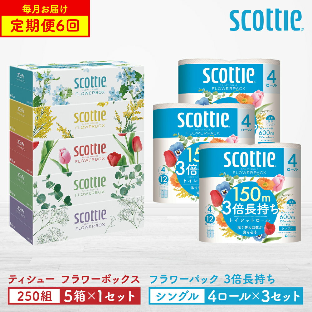 【ふるさと納税】＼レビューキャンペーン開催中／【定期便6回】【毎月お届け】【スコッティ】 ティシュー フラワーボックス250組（5箱パック×1セット）＋フラワーパック 3倍長持ち（4ロール（シングル）4パック×3セット） ティッシュ トイレットペーパー ストック 送料無料