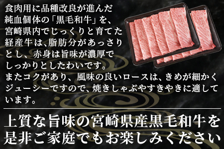 ＜宮崎県産黒毛和牛(経産)肩ローススライス 1kg（500g×2）＞1か月以内に順次出荷【  国産 黒毛和牛 牛肉 牛 精肉 肩ロース ロース しゃぶしゃぶ すき焼き 赤身 贈答品 ギフト 贈り物 グ
