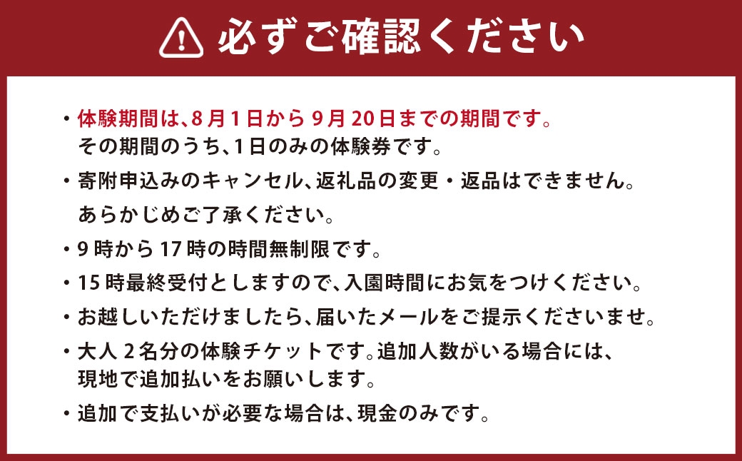 ぶどう狩り体験チケット （ 大人2名様分 ） お土産付き 【2026年8月5日までお申込み可】 【2026年7月下旬～8月下旬ご案内予定】 収穫 試食 自然 家族連れ 観光 体験チケット 体験 経験 