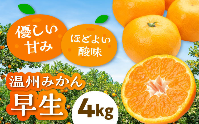 
            【先行予約】【11月上旬から順次発送】 温州みかん 早生 約4kg 【まごころ手選り手詰め】愛媛県大洲市/カームシトラス [AGBW003] 果物 フルーツ みかん ミカン 温州みかん 愛媛 みかん 4kg
          