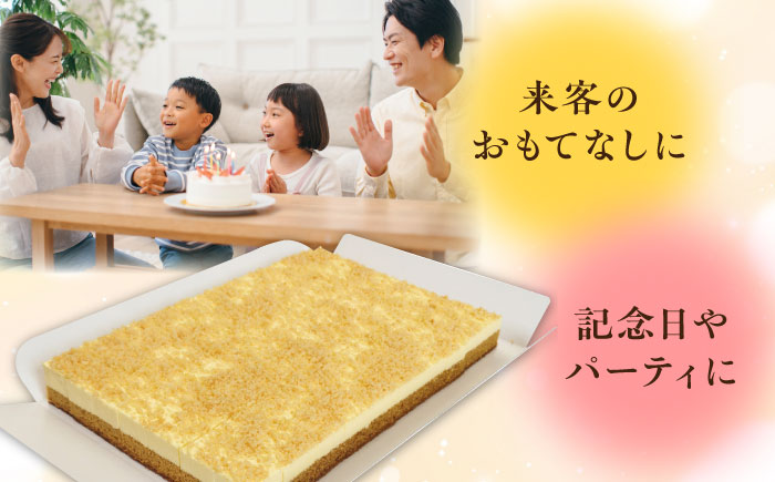 とろっと！プリンムース 【ファミール製菓株式会社】 [AKCI026]