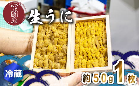 生うに 通常品 1枚 約50g 紫うに 赤うに 冷蔵 下関 唐戸市場 直送 ( うに ムラサキウニ アカウニ 生うに 雲丹 角島産うに 下関生うに 板うに ウニ 雲丹 うに 紫ウニ ウニ丼 魚介 海産物 海の幸 うに丼 うに刺身 おつまみうに 冷蔵生うに 新鮮うに 角島うに うに 雲丹 うに 雲丹 うに 雲丹 うに 雲丹 うに 雲丹 うに 雲丹 うに 雲丹 うに 雲丹 うに 雲丹 うに 雲丹 うに 雲丹 うに 雲丹 うに 雲丹 ウニ うに 雲丹 ウニ うに 雲丹 ウニ うに 雲丹 ウニ うに 雲丹 ウニ う