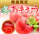 【ふるさと納税】数量限定 冬あまおう2パック 540g以上 270g以上×2 送料無料 アフター保証 イチゴ 苺 いちご 福岡 博多あまおう フルーツ 農家直送 果物 ギフト 季節限定 苺くだもの 2024年12月発送 VZ003