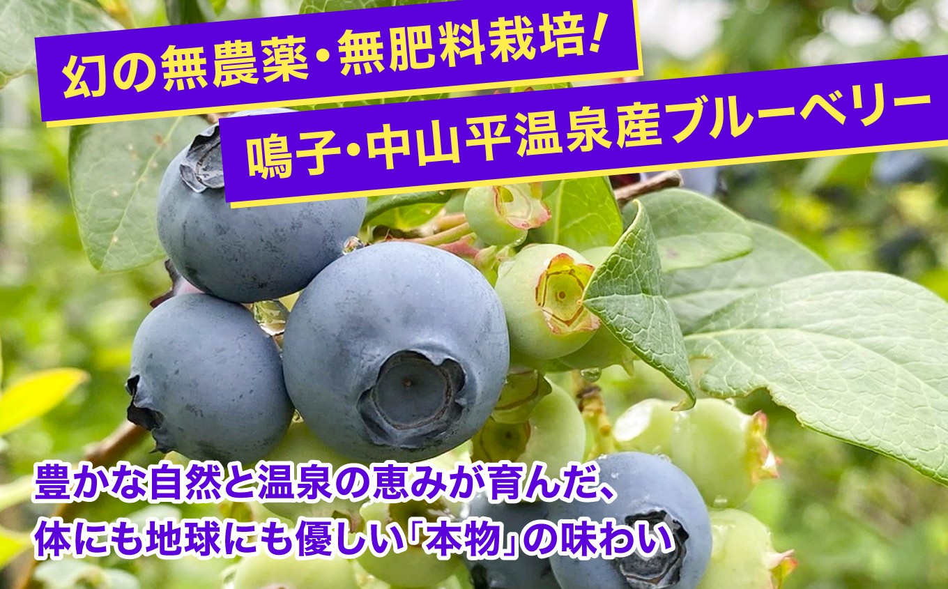 澄んだ空気、清らかな水。小動物や昆虫、微生物が暮らす土。土を作る広葉樹。太陽が照らす、自然豊かな地で、ブルーベリーは実ります。