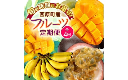 ＜発送月固定定期便＞JAおきなわ厳選!季節の南国フルーツ 西原町の旬の味覚をお届け全4回【4080888】