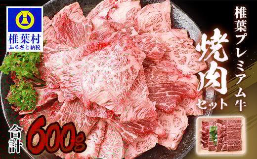 
            宮崎県産 椎葉プレミアム牛 焼肉セット 600g ［宮崎県 椎葉村 国産 国産牛 黒毛和牛 和牛 牛 牛肉 赤身 にく おにく 肉 お肉 a4 A4 冷凍 やきにく 焼肉 焼肉セット セット ごちそう 贈物 日本三大秘境］【TK-40】
          